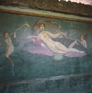 Vénus naviguant sur la mer - Roman